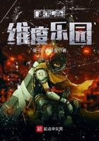虚拟的维度乐园 虚拟的维度乐园