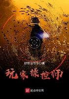 玩家操控师 玩家操控师