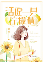 活捉一只柠檬精 活捉一只柠檬精