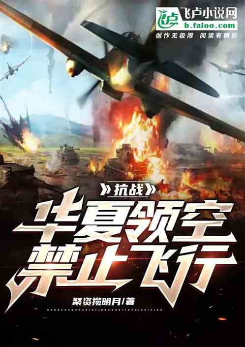抗战:华夏领空 禁止飞行 抗战:华夏领空 禁止飞行
