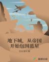 从地下城到商业帝国