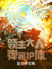 领主大人弹幕护体 领主大人弹幕护体