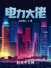 电力大佬 电力大佬