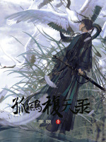 孤鸿复天录 孤鸿复天录
