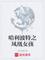 哈利波特之凤凰社 哈利波特之凤凰社