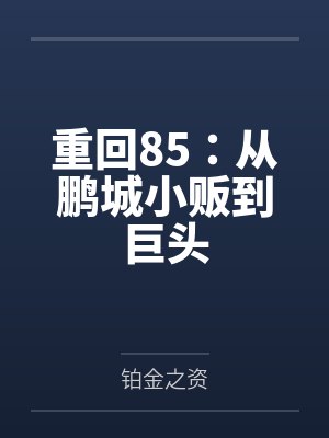 重回85:从鹏城小贩到巨头 重回85:从鹏城小贩到巨头