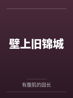 壁上旧锦城 壁上旧锦城