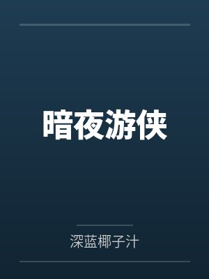 暗夜游侠 暗夜游侠