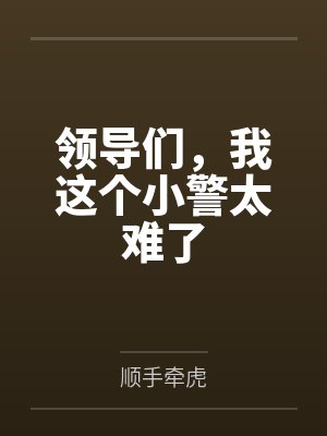 领导们，我这个小警太难了