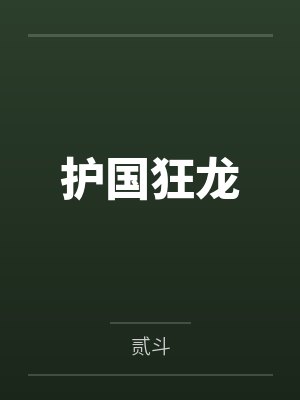 护国狂龙 护国狂龙